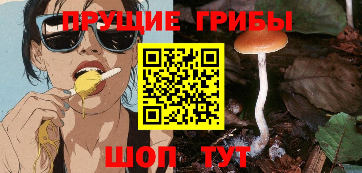 где купить   Вход с VPN  Чебаркуль  Псилоцибиновые грибы мухоморы 